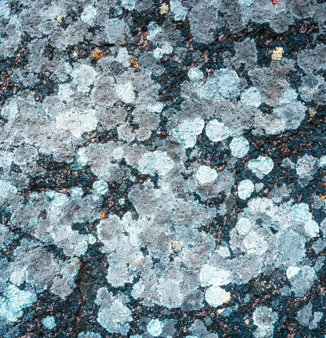 Hail damaged roof.